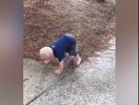Funny Baby's Outdoor Moments