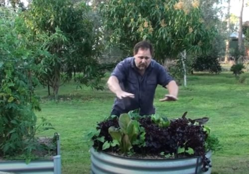 Gardening Tips For Nelson New Zealand | Uniquely Nelson | Nelson Advantage