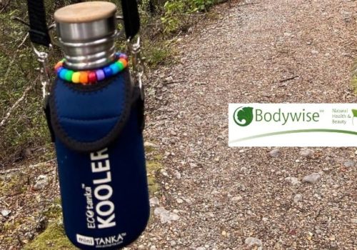 Ecotanka Kooler, The Perfect Summer Companion Stainless Steel Bottle Bodywise | Uniquely Nelson