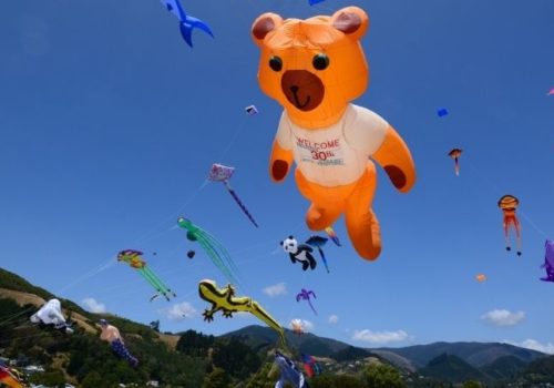 Nelson Summer Kite Festival