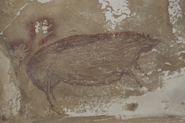The pig painting believed to have been drawn 45,000 years ago at Leang Tedongnge in Sulawesi, Indonesia. 