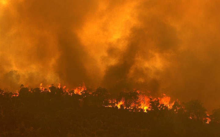 A fire driven by strong winds burns on a ridge in the suburb of Brigadoon in Perth 