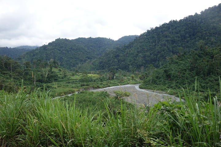 Bulolo district, Morobe Province, Papua New Guinea.